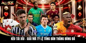 Kèo Tài Xỉu - Giải Mã Tỷ Lệ Tổng Bàn Thắng Bóng Đá